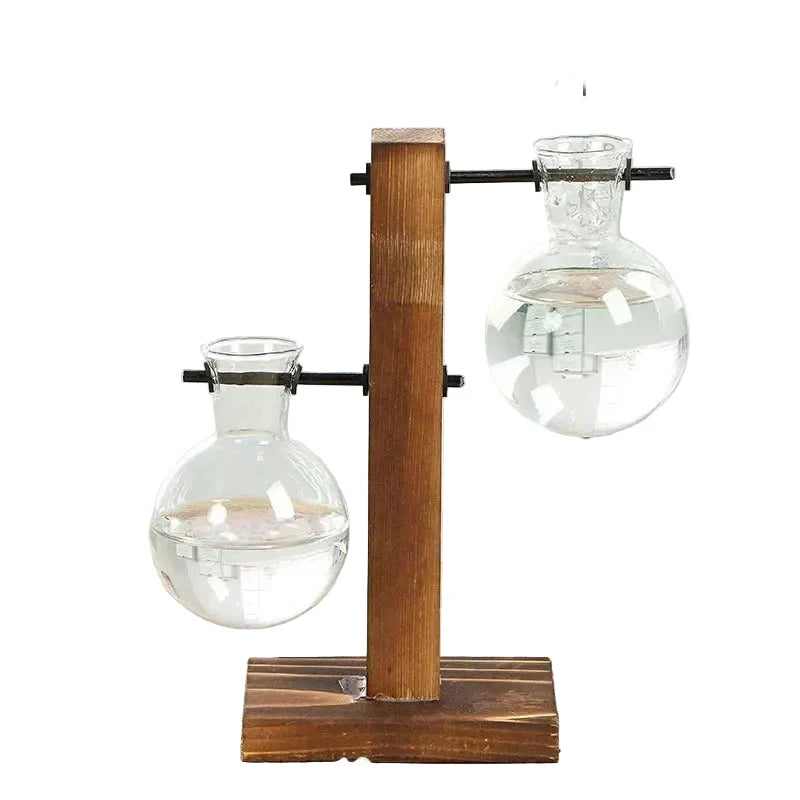 Terrarium-Vase aus Holz und Bambus – Dekorative Glasvase für Blumen, Pflanzen und Bonsai
