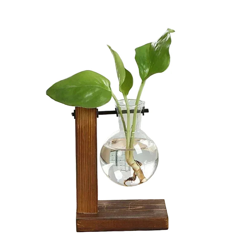Terrarium-Vase aus Holz und Bambus – Dekorative Glasvase für Blumen, Pflanzen und Bonsai