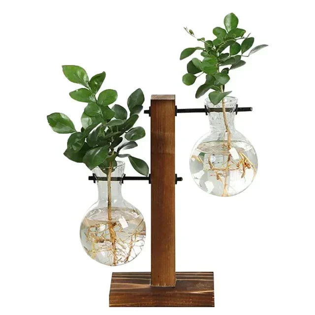 Terrarium-Vase aus Holz und Bambus – Dekorative Glasvase für Blumen, Pflanzen und Bonsai