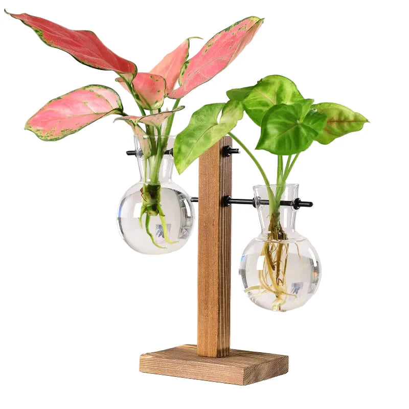 Terrarium-Vase aus Holz und Bambus – Dekorative Glasvase für Blumen, Pflanzen und Bonsai